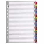 Donau index file dividers 1-31 (PVC)
